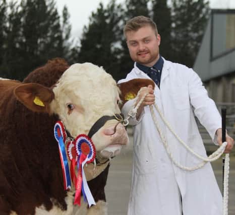 Matthew Robson, Doagh, Ballyclare, with the male and supreme Simmental champion Kilbride Farm Impact, at Dungannon Farmers' Mart. Picture: Julie Hazelton