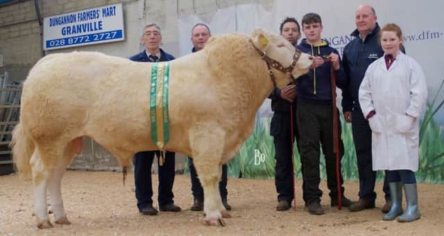 Overall Blonde champion Drumraymond Oran from Henry Griffin with sponsor Alan Carson, of ASC farm services, and the purchasers McMenamin and family.