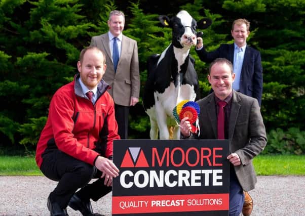 Moore Concrete has confirmed its sponsorship of the Dungannon Dairy Sale on Thursday 18th April. Company representative Andy Moore is pictured with Holstein NI committee member Jason Booth. Looking on are auctioneer Michael Taaffe, and Holstein UK board member Wallace Gregg.
Photograph: Columba O'Hare/ Newry.ie