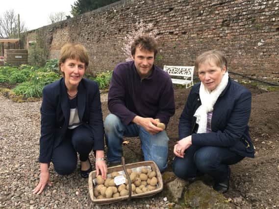 Dougal Dorman, Head Gardener at Colebrooke Kitchen Garden showing a range of seed potatoes to Margaret OMalley, Vaughan Trust and Ann Orr, Show Manager, Fermanagh County Show.