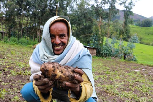Concern supported farmer Ahimed Ali Mahamed, happily shows off potato crop produce.  Ethiopia. Photo: Jennifer Nolan / Concern Worldwide