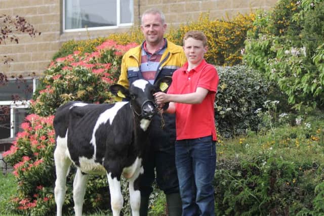 Gary Red, and son Ben, are pictured with Drumbo Josuper Akke PLI £379 which will come under the hammer at Holstein NI's Charity Open Day on 4th May. Picture: Julie Hazelton