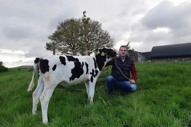 Peter Gibson with the calf which will be auction off in aid of Air Ambulance NI.