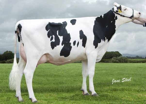Included in the Moree dispersal sale - Moree Nadal Marq I VG87-2yr_  contracted to the Republic of Ireland and New Zealand