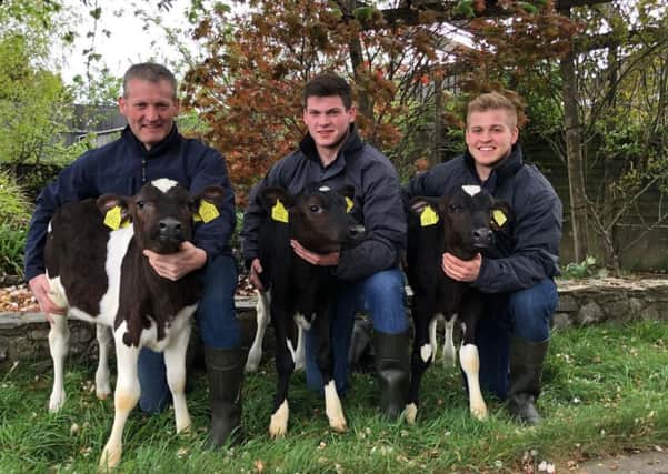 Left to right: Keith, Jonny and Josh Agnew with triplet Friesian heifers which were born on the farm near Newry earlier in the spring. The likelihood of triplet calves arriving and all being the one sex is understood to be somewhere in the region of 1 in 400,000.