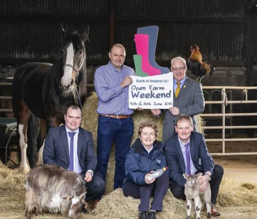 The Bank of Ireland Open Farm Weekend initiative takes places on Saturday 15 and Sunday 16 June during which 21 farms from across the province will open their farms for free to members of the public, highlighting where our food comes from, the benefits of eating local, as well as giving visitors the chance to sample the world-class ingredients that are produced right here in Northern Ireland. Pictured L-R are Richard Primrose Agriculture Manager NI of Bank of Ireland UK, George Rankin of ASDA, David Cairns of NFU Mutual, Cherry Kenny of the Livestock and Meat Commission, and David Brown of the Ulster Farmers Union.  

More information at www.openfarmweekend.com
Picture by Brian Morrison.