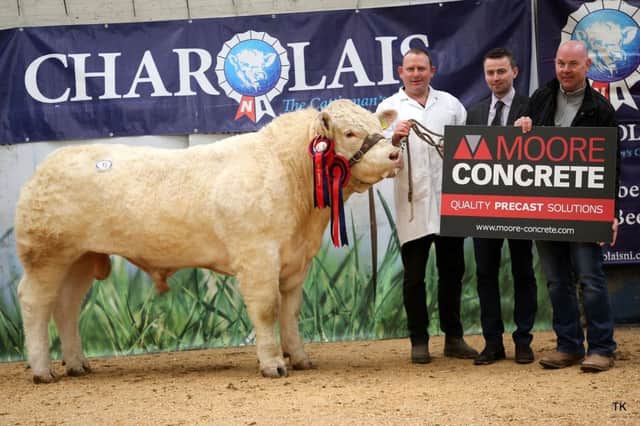 Fymore Olaf - 3,000gns supreme champion