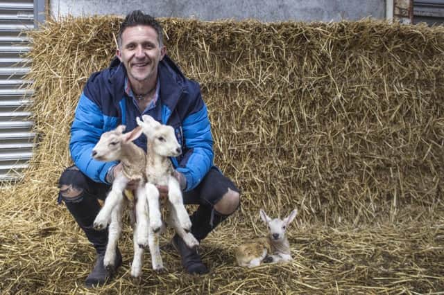 Johnny Brady gets caught up in the lambing shed at the launch of this years fundraising Jalex Fest which will take place on Saturday, June 8at the Alexander's farm, 88 Gloverstown Road, Randalstown. Tickets now available