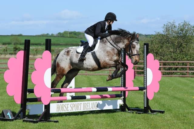Claire Kirkwood riding Domino, clear in the 80cm. Pictures: Victoria O'Connor