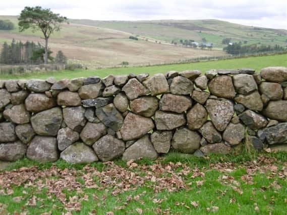 Enrol for CAFRE dry stone walling courses on Saturday 25 May 2019 or Saturday 22 June 2019 at Greenmount Hill Farm, Glenwherry via: www.cafre.ac.uk/short-courses/dry-stone-walling/