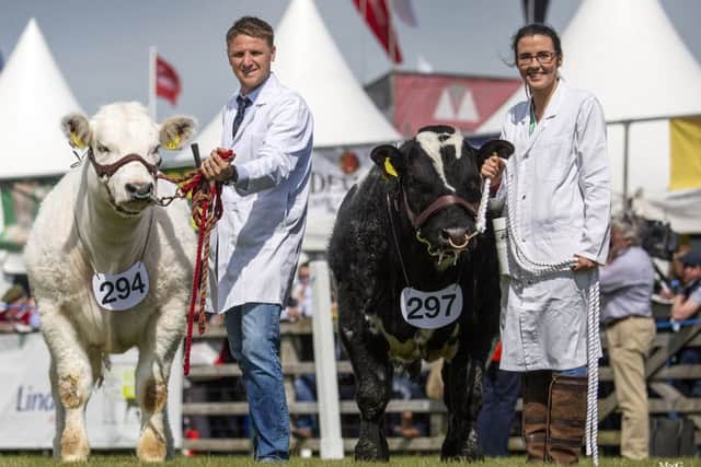 The McKnight family from Newry won the award for the best pair of British Blue cattle at Balmoral Show. Picture: MacGregor Photography