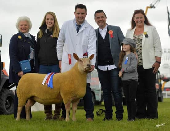 Graham and Hannah Foster couldn't believe their luck when Pete Snodden awarded the Champion of Champions to their Charollais gimmer at Balmoral Show. They were presented with £1000 from sponsors Global Home Warranties.