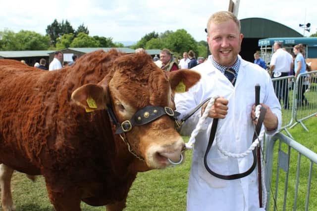 Eamon McGarry exhibited David Alexander's Limousin bull - Nat King 
Cole - at this year's Ballymoney Show
