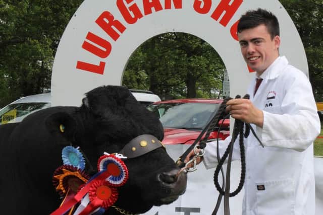 Ryan Laverty, Aghalee, with his Dexter and rare breed champion. Picture: Julie Hazelton