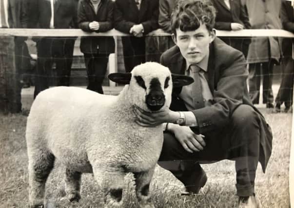 Jim Quail of Banbridge with one of his Champion Hampshire Downs