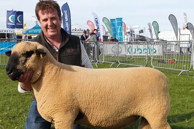 Sean Doyle with his first placed aged ram