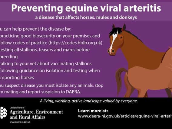 The Department of Agriculture, Environment and Rural Affairs (DAERA) is urging local horse owners to remain alert to the ongoing threat of Equine Viral Arteritis (EVA)
