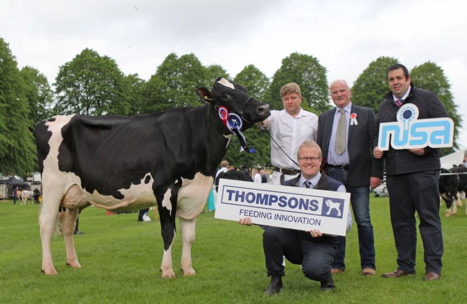 First qualifiers for dairy cow championship