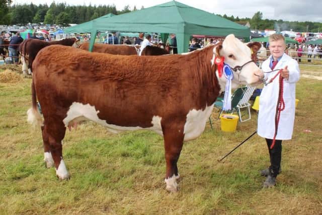 Marcus Murdoch, from Newry, with the Reserve Hereford champion at 
Armagh Show 2019