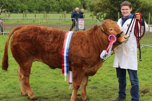 Sammy Clyde with the Inter-Breed Beef Champion at Ballymena Show 2019 - Clydevalley Osaka