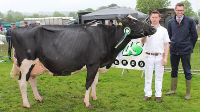 Rory Timlin holds the Supreme Champion of the Show at Ballymena 
2019 - Robinview Atwood Vicky. He was joined by Philip Moore, from 
Moore's Animal Feeds