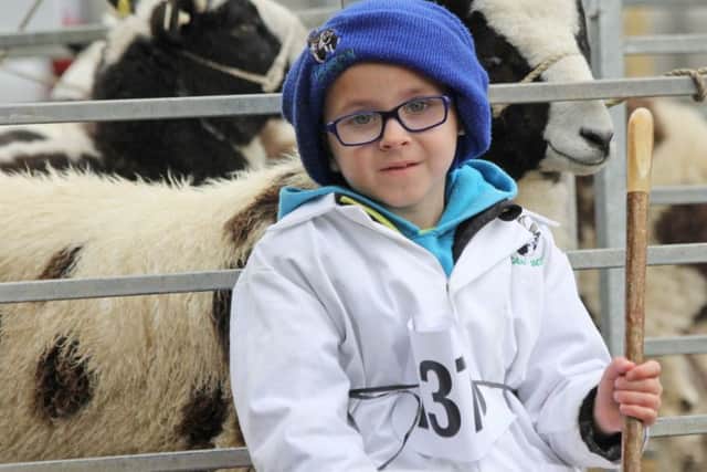 Jacob sheep exhibitor Charlie Beatty, Aughnacloy, relaxing at the 74th Saintfield Show. Picture: Julie Hazelton
