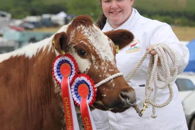Caroline Lyons, Ballynahinch, with her Irish Moiled and native breed champion Beechmount Daisy. Picture: Julie Hazelton