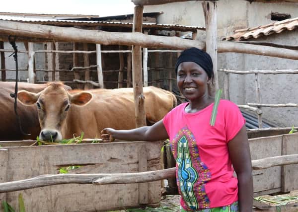Jeanette Kanyange and cows