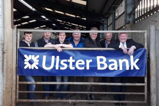 Pictured at the recent Tyrone and Fermanagh heats of the YFCU beef and sheep stock judging competition
