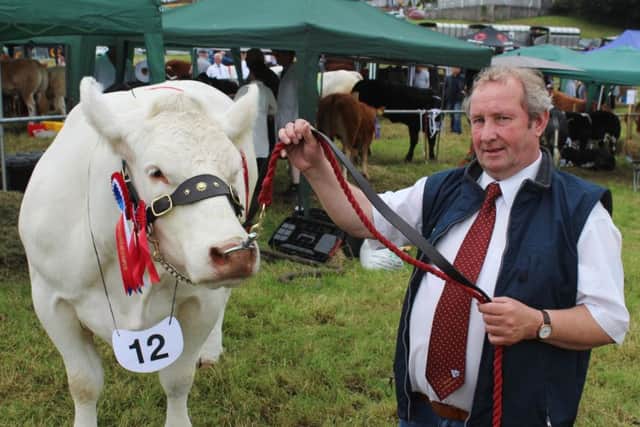 Harry Heron, from Newtownards, with the Charolias champion at 
Newry Show 2019