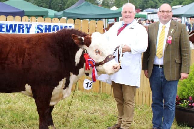 James Graham with the Native Breeds' Champion at this year's Newry 
Show. Adding his congratulation is judge Gary Hanna