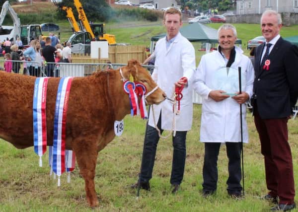 Left to right: Trevor Dodds, William Nesbitt and Judge, David Clarke, with 
the Continental Breed Champion at Newry Show 2019