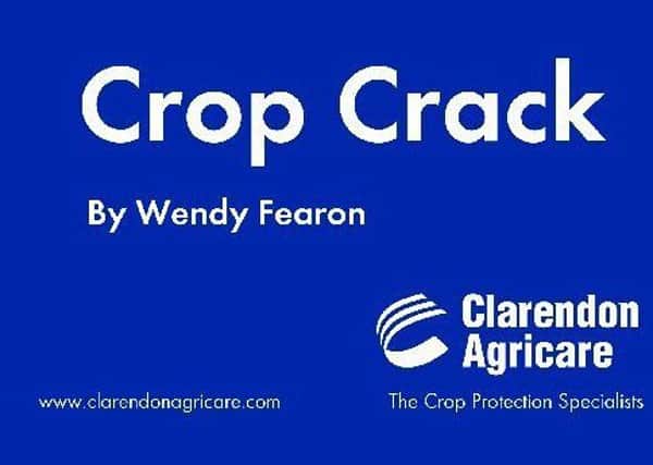 Crop Crack logo