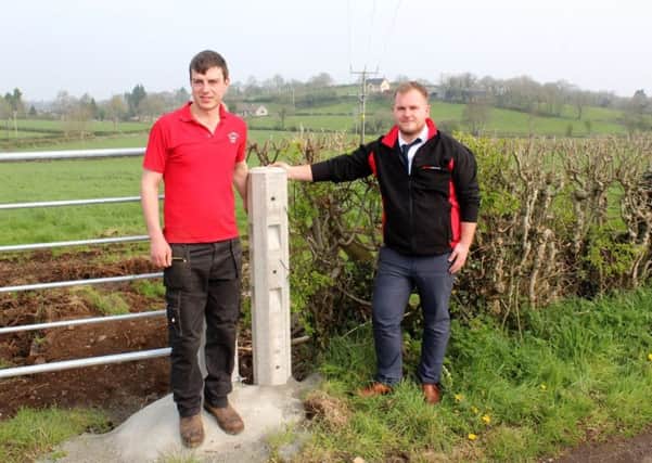 Ahoghill dairy farmer Jack Johnston (left) chatting about the benefits 
of Moore Concrete's Ox Strain posts with the company's Jonny McKinney