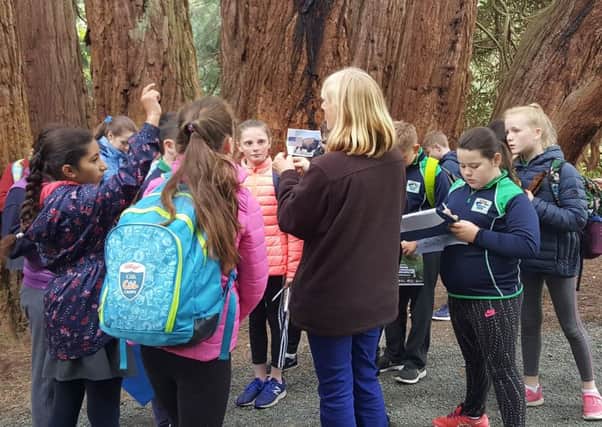 A group of school children enjoying the new nature trail in Castlewellan Forest Park funded by The Woodland Trustâs Tree of the Year Award