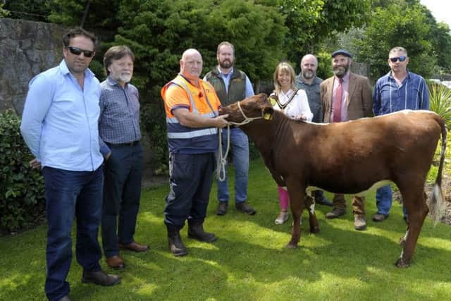 Pictured at the official handover of the Irish Moiled Heifer â¬ÜSilverwood Sunflower 3â¬" from Tannaghmore Rare Breeds Animal Farm to Connemara National Park is Deputy Lord Mayor Councillor Margaret Tinsley alongside representatives from Connemara National Pa