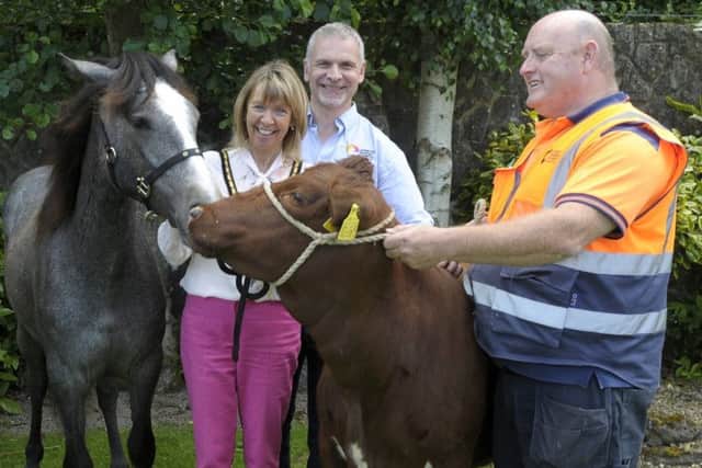 Following newly forged connections, Tannaghmore Rare Breeds Animal Farm and the Irish National Parks and Wildlife Service exchanged gifts of an iconic Connemara Pony and an Irish Moiled Heifer. Pictured Deputy Lord Mayor Councillor Margaret Tinsley with Richard McKitterick and Paul Fearnon from Armagh City, Banbridge and Craigavon Borough Council.