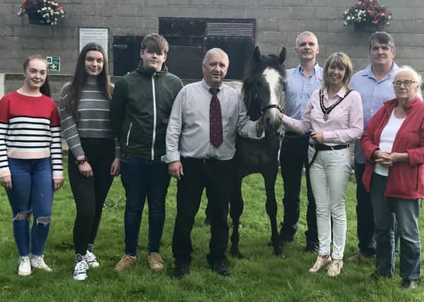 The Rare Breed Survival Trust Northern Ireland Support Group launched their 2019 annual show and sale at Tannaghmore Rare Breed Farm Park by welcoming their newest resident Sarah, a one year old Connemara pony. Supporters and Committee members are pictured with the new arrival: (left to right) Aoine Kelly; Emma McKitterick, Niall Kelly, RBSTNI chairman Brian Kelly, Tannaghmore supervisor Richard McKitterick, the deputy mayor of Armagh Margaret Tinsley, RBSTNI vice-chairman Brian Hunter and RBSTNI treasurer Sarah Creaner