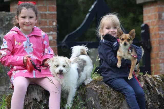 Looking forward to showing off their dogs at the Childrenâ's Pet Show at Randox Antrim Show is seven-year-old Lilah Gray from Dunadry and her dog Bella, with three-year-old Caroline McKeown from Templepatrick and her dog Penny. The annual showcase of all things country takes place at Shanes Castle, on Saturday 27 July, 9am-5pm. Visit www.randioxantrimshow.com for further details. Photo: Julie Hazelton.