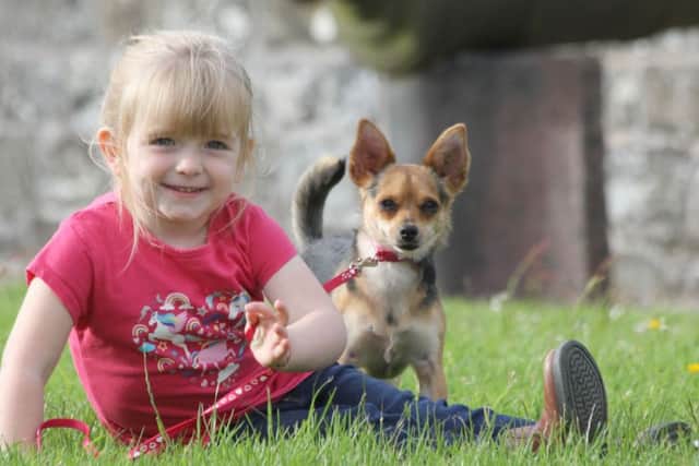 Looking forward to showing off her dog Penny at the Children's Pet Show at Randox Antrim Show is three-year-old Caroline McKeown from Templepatrick. The annual showcase of all things country takes place at Shanes Castle, on Saturday 27 July, 9am-5pm. Visit www.randioxantrimshow.com for further details. Photo: Julie Hazelton.