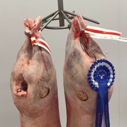 Reserve champion pair of lambs from Seamus Doyle