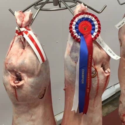 Champion pair of lambs from Peter Lawso