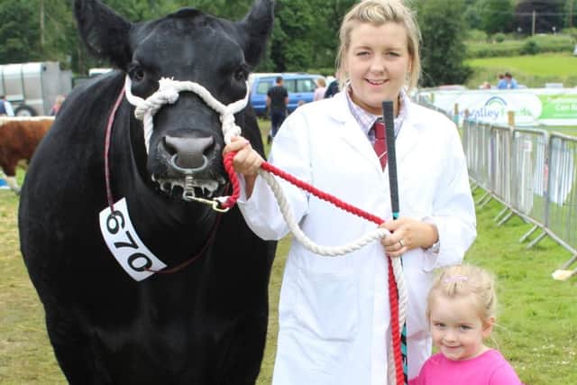Getting ready for the show ring at Clogher Valley: Fiona McKeown 
and her daughter Caroline, from Templepatrick, with their Aberdeen Angus 
heifer