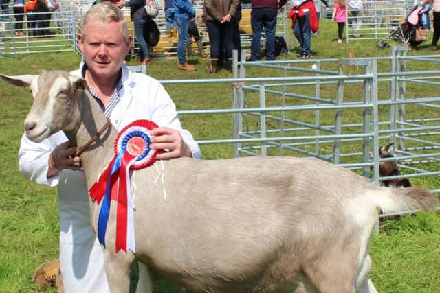 Roy Colvin, from Stewartstown, with the goat inter-breed champion at Clogher Valley Show 2019