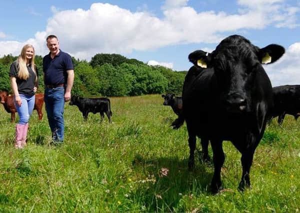 Castle Ward, Strangford becomes the first National Trust property in Northern Ireland to deliver a field to fork initiative that will see Dexter beef which has been raised sustainably on the estate, feature on the menu in the tea-room