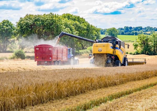 Barley harvest underway