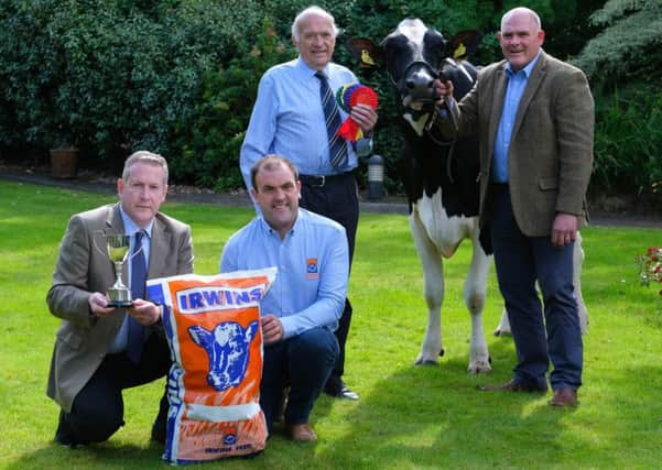 Ian Cummins, Irwins Feed, discusses sponsorship of the forthcoming Dungannon Dairy Sale with auctioneer Michael Taaffe, Holstein NI President Wilbert Rankin; and vice-chairman Iain McLean. Photograph: Columba O'Hare/ Newry.ie