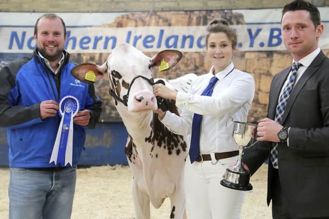 Jessica Hall, Mallusk, was the reserve champion handler and winner of the mature showmanship class. Presenting the Ulster Bank Cup are Paul Dunn, World Wide Sires, sponsor; and judge Rory Timlin. Picture: Jane Steel