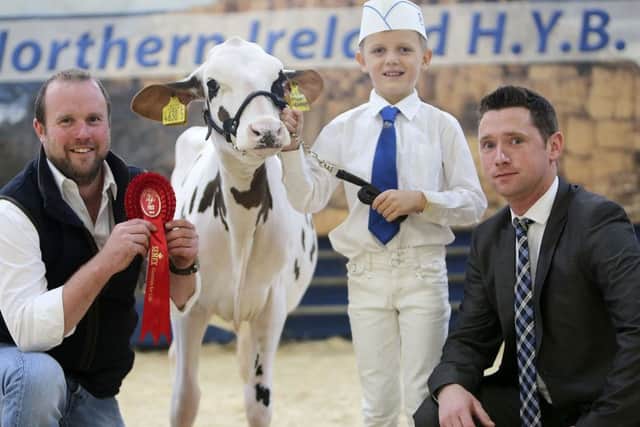 Simon Gregg, Glarryford, was the winner of the novice Holstein showmanship class. He received his award from Paul Dunn, World Wide Sires, sponsor; and judge Rory Timlin. Picture: Jane Steel