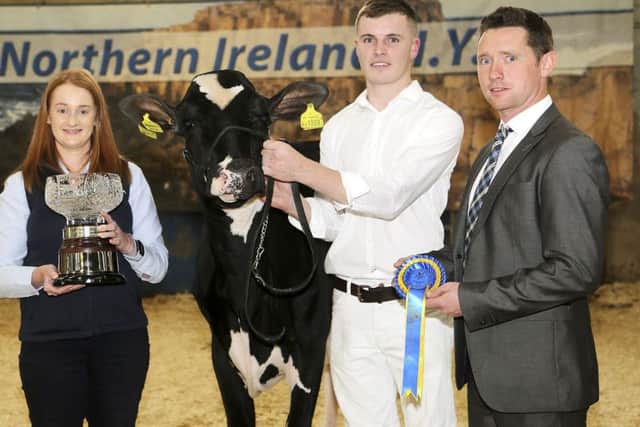 Supreme champion at the 17th annual multi-breed dairy calf show, held at Dungannon, was Davlea Abbott Lulu exhibited by Mark Henry, Stranocum. Presenting the crystal trophy are Denise Rafferty, Thompsons, sponsor; and judge Rory Timlin. Picture: Jane Steel